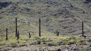 2022-04-GranCan-Agaete-Trekking_view-PM-NN-071.JPG